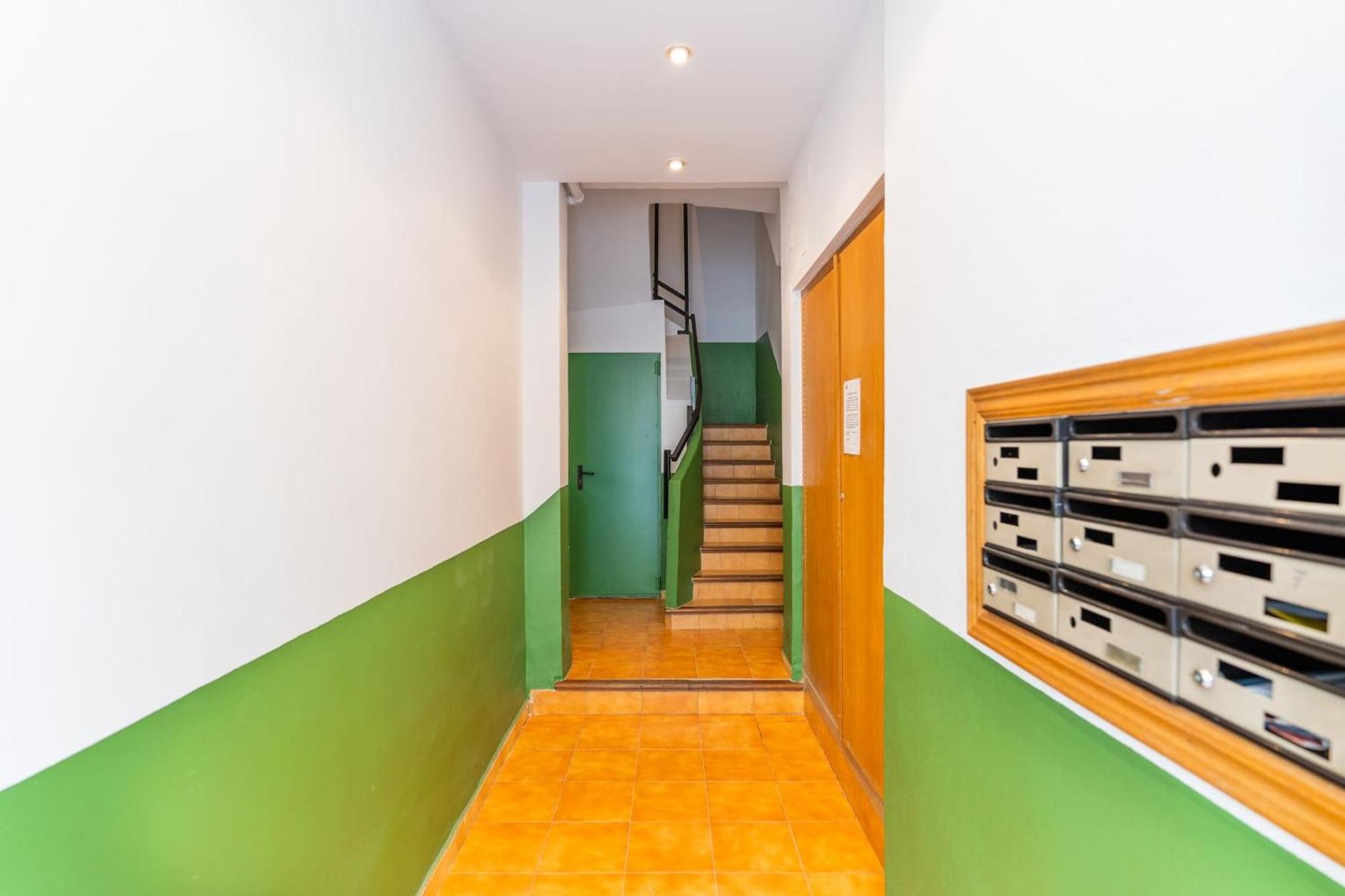 Botanical Gardens Apartment Valencia Eksteriør bilde